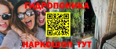 бошки Новокубанск