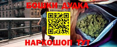 Альфа ПВП Новодвинск